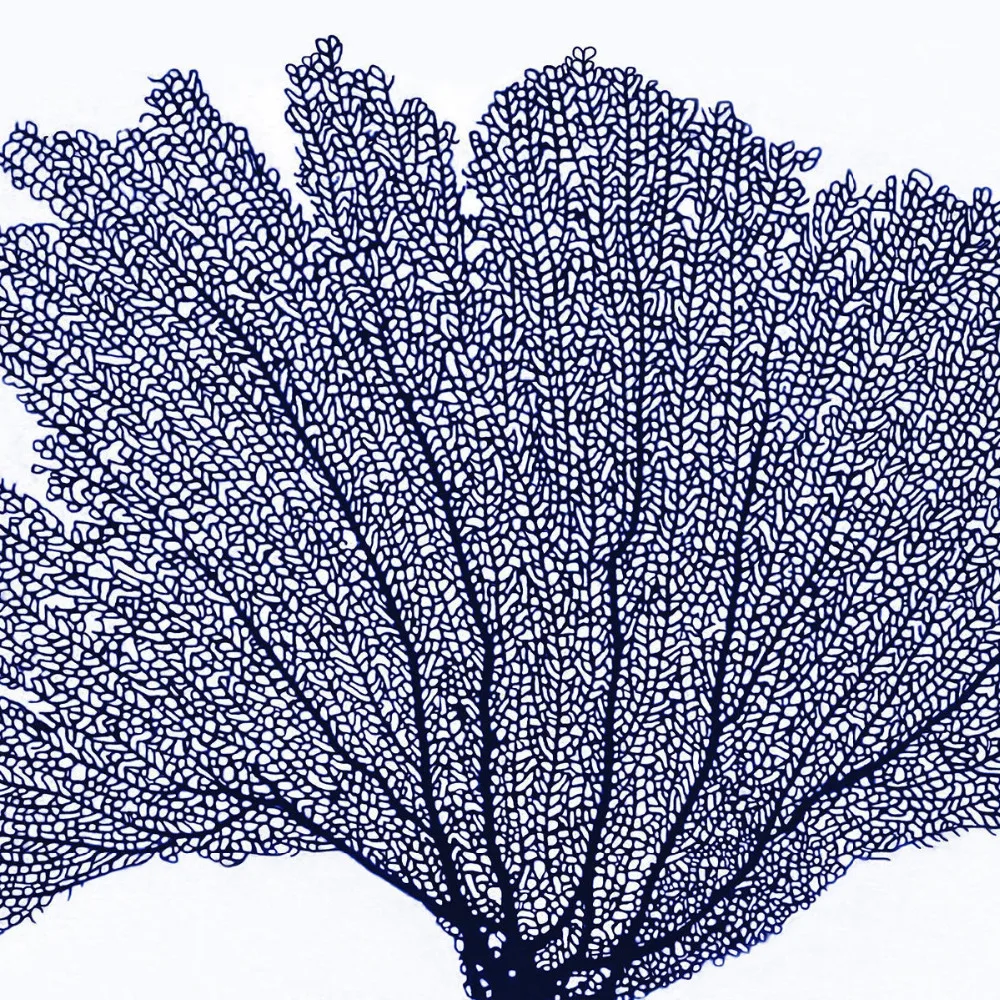 кораллы зентангл. кораллы графика. кораллы графика. водоросли графика. кораллы нарисовать.
