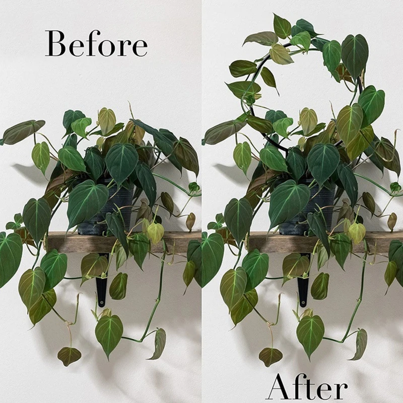 3Pcs Metal Plants Climbing Trellis Wrought Iron Bonsai Plant Support Holder for Indoor Outdoor Garden Rose Flower Vine - купить по