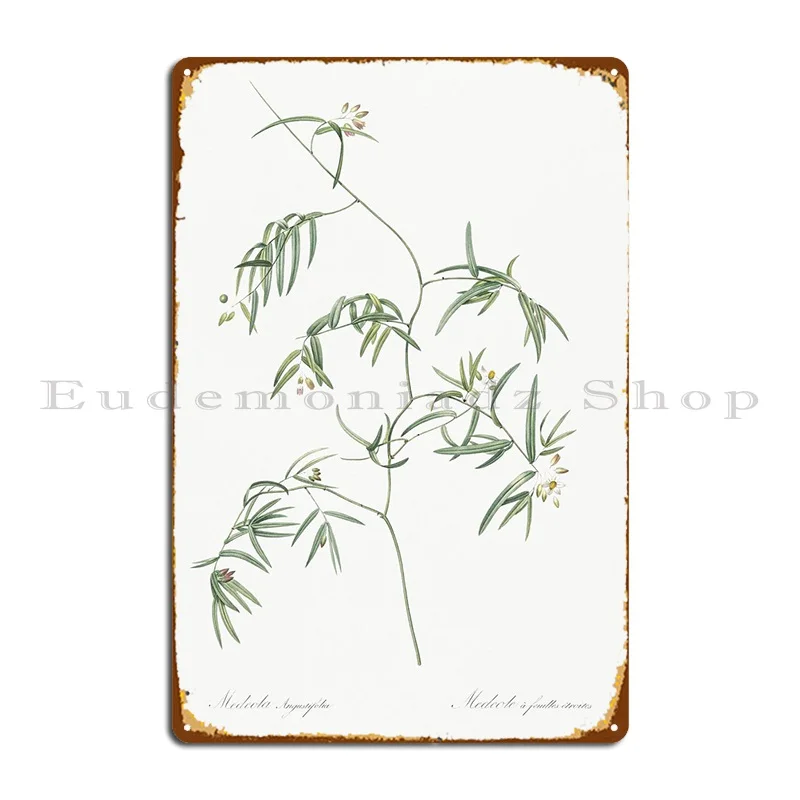 

Bridal Creeper Illustratio Metal Sign Pub Funny Kitchen Character Retro Tin Sign Poster
