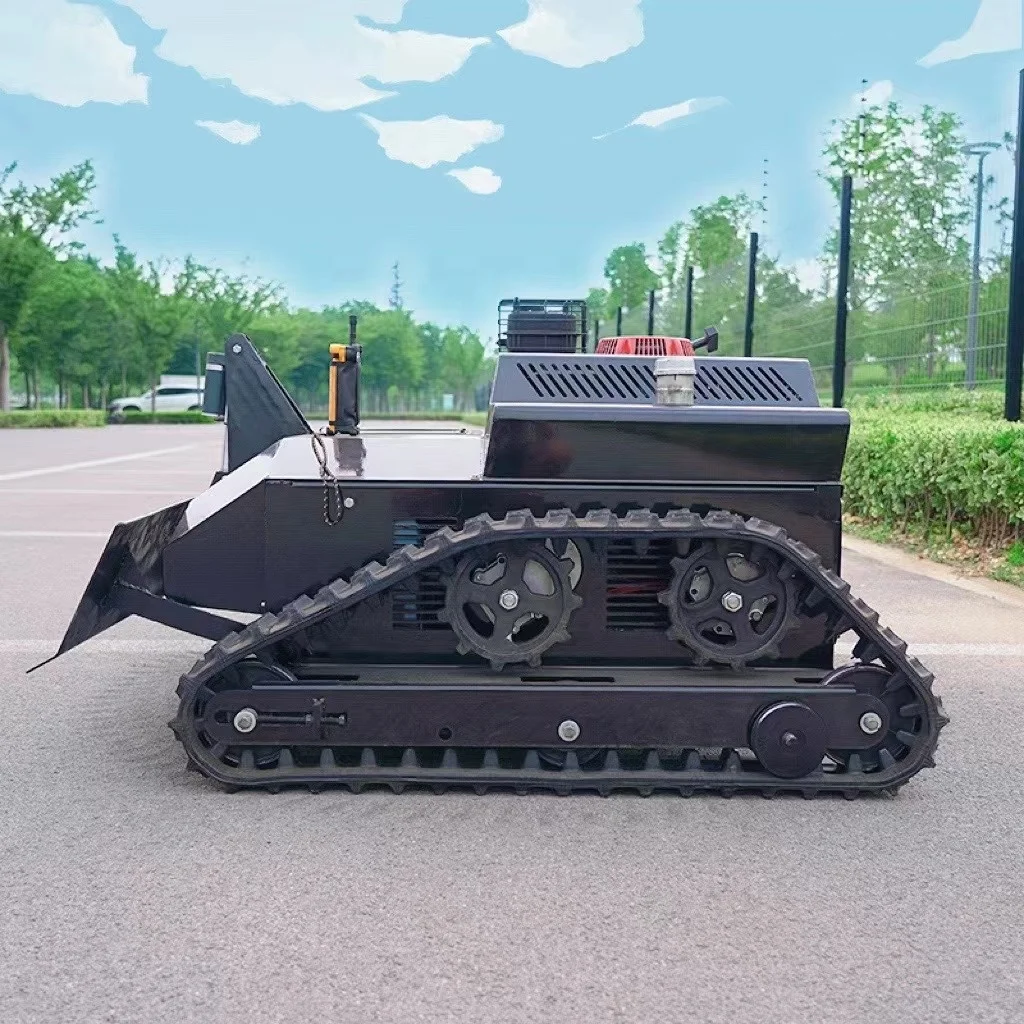 Рисунок 3 - Многофункциональная роботизированная