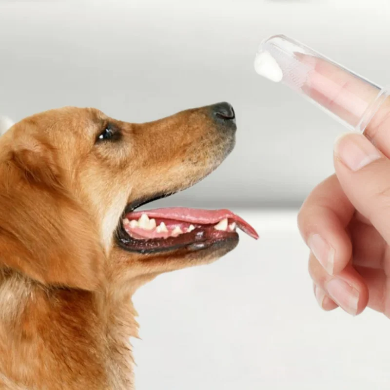 Купить Зубная щетка для чистки домашних животных, зубная щетка для кошек и собак, инструмент для мытья рта, щетка с манжетами из говядины и ванили Скидка Зубная щетка для чистки домашних животных, зубная щетка для кошек и собак, инструмент для мытья рта, щетка с манжетами из говядины и ванили