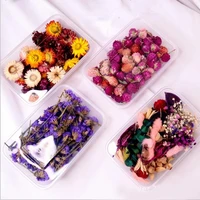 1 box mix beautiful real dried flowers natural floral for art craft scrapbooking resin jewelry craft making epoxy mold filling