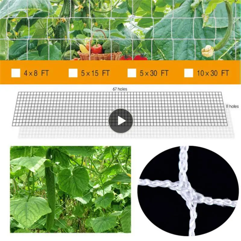 

Sturdy And Durable Climbing Vine Net Easy To Install Multipurpose Planting Net Good Elasticity Multi Thread Weaving Garden