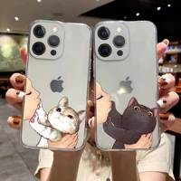 funny don t kiss my cat phone case for iphone 11 12 13 pro max x xr xs max x 6s 8 7 plus 12 13 mini clear soft bumper back cover