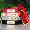 Bling Personalized Dog Cat Collar 4