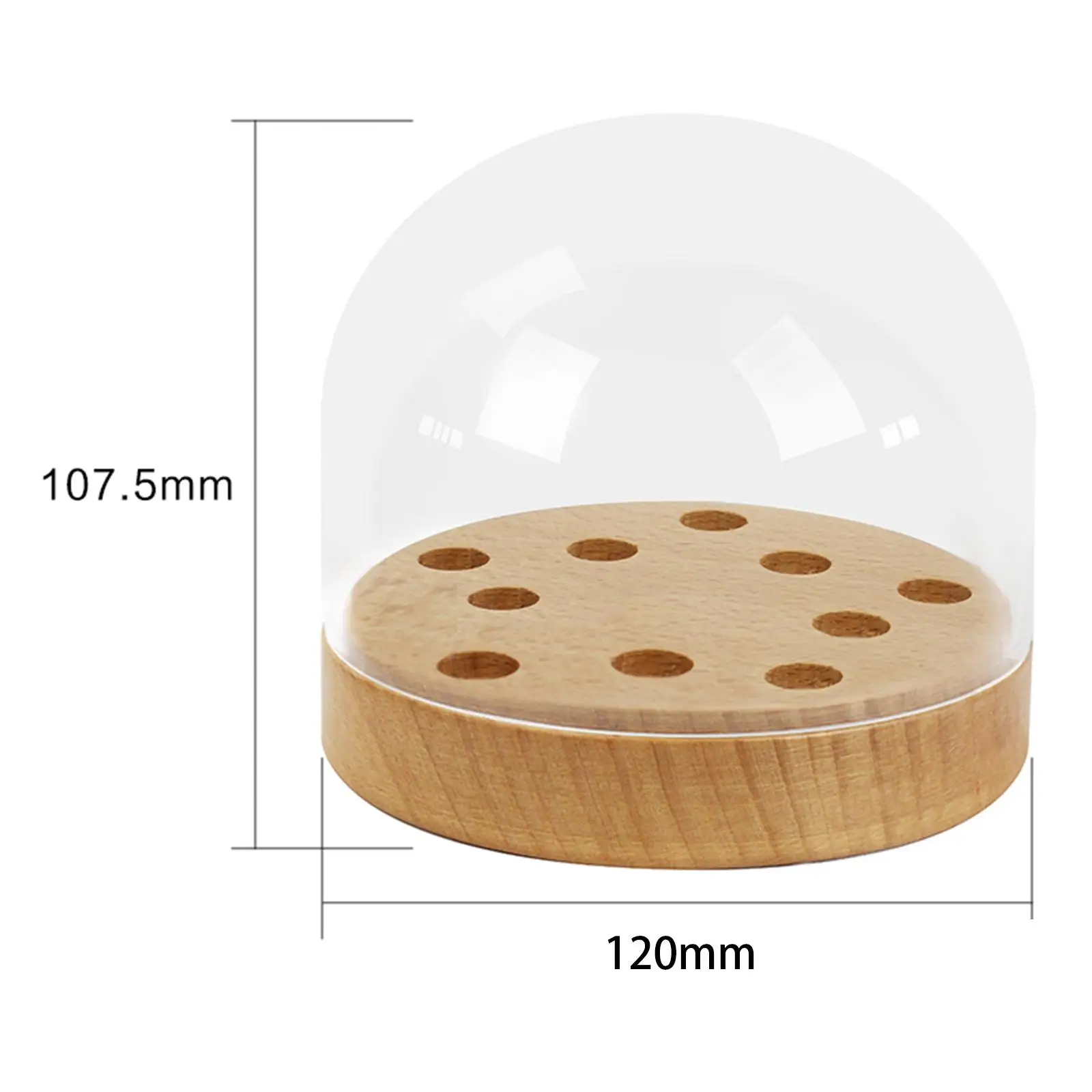 

Turntable Headshell Storage Box Collector Protection Decor Display Box for Office