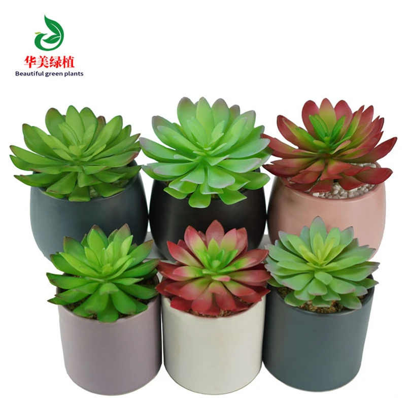 Искусственные растения-суккуленты, бонсай, Астрофитум, мириостигма без цветочного горшка, натуральный искусственный цветок, Бостонский плющ, кактус