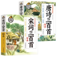 full set 2 volumes of 300 tang poems 300 song poems with color pictures and phonetic students extracurricular reading books