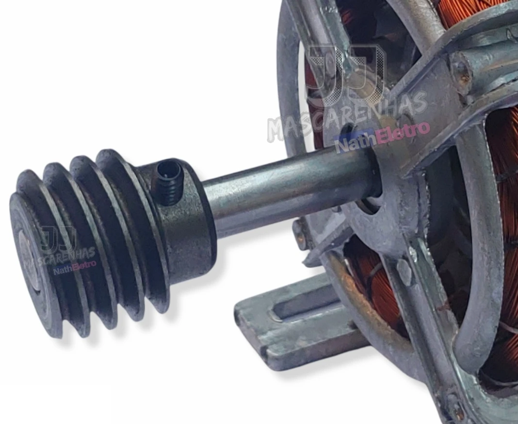 

Engine for chicken hose machine in general 1/4hp + endless pulley