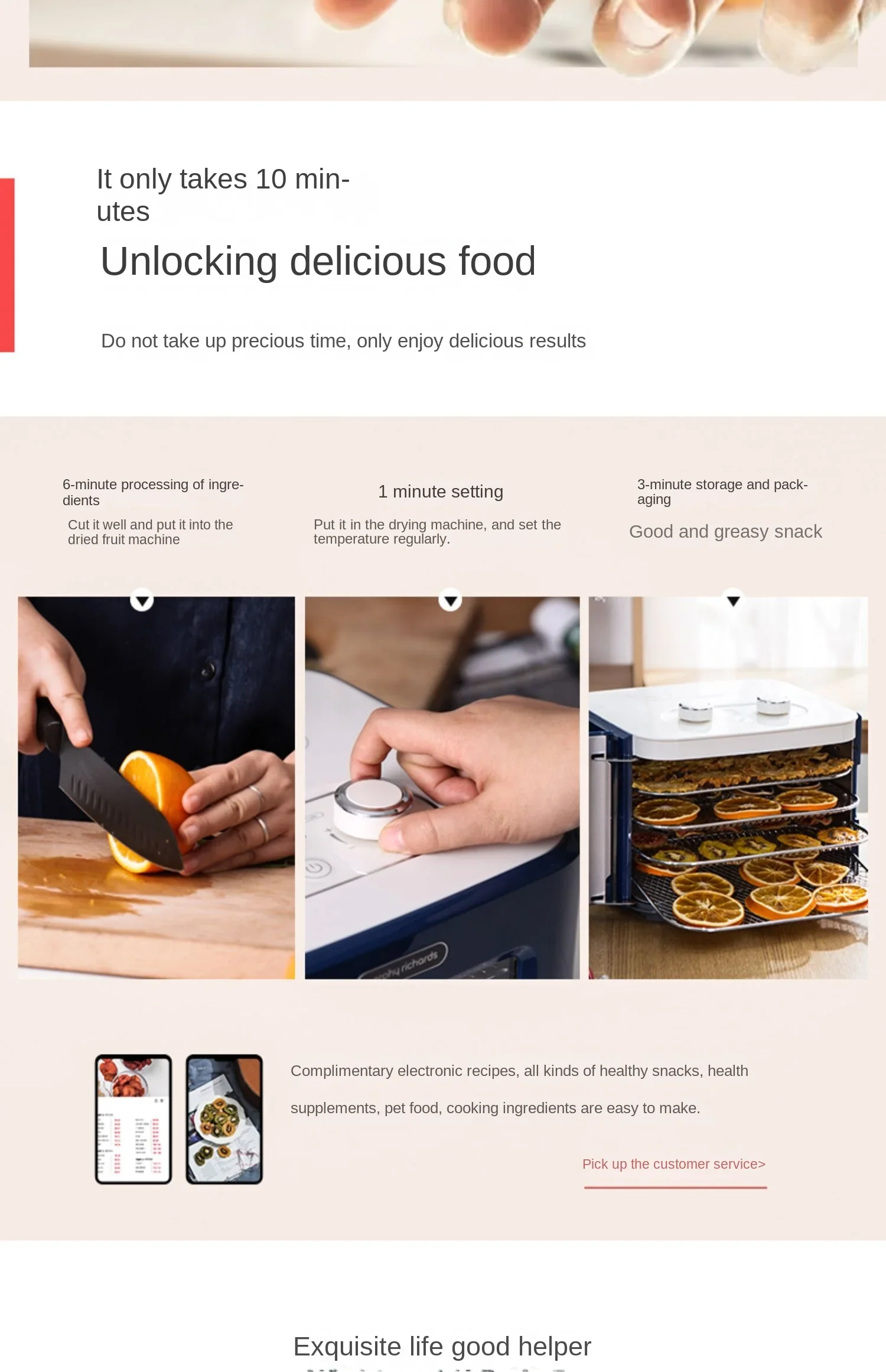 220V MORPHY RICHARDS Electric Dehydrator with 5 Trays for Dehydration of Fruits Vegetables Meat &amp Pet Snacks