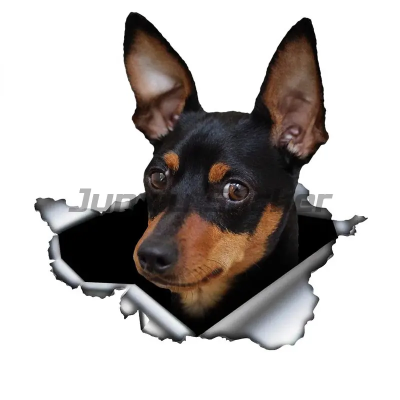 

Миниатюрная автомобильная наклейка Pinscher, 3D металлическая рваная, оригинальный дизайн, виниловая наклейка на заднее лобовое стекло багажника, индивидуальная наклейка с графикой для домашних животных и собак