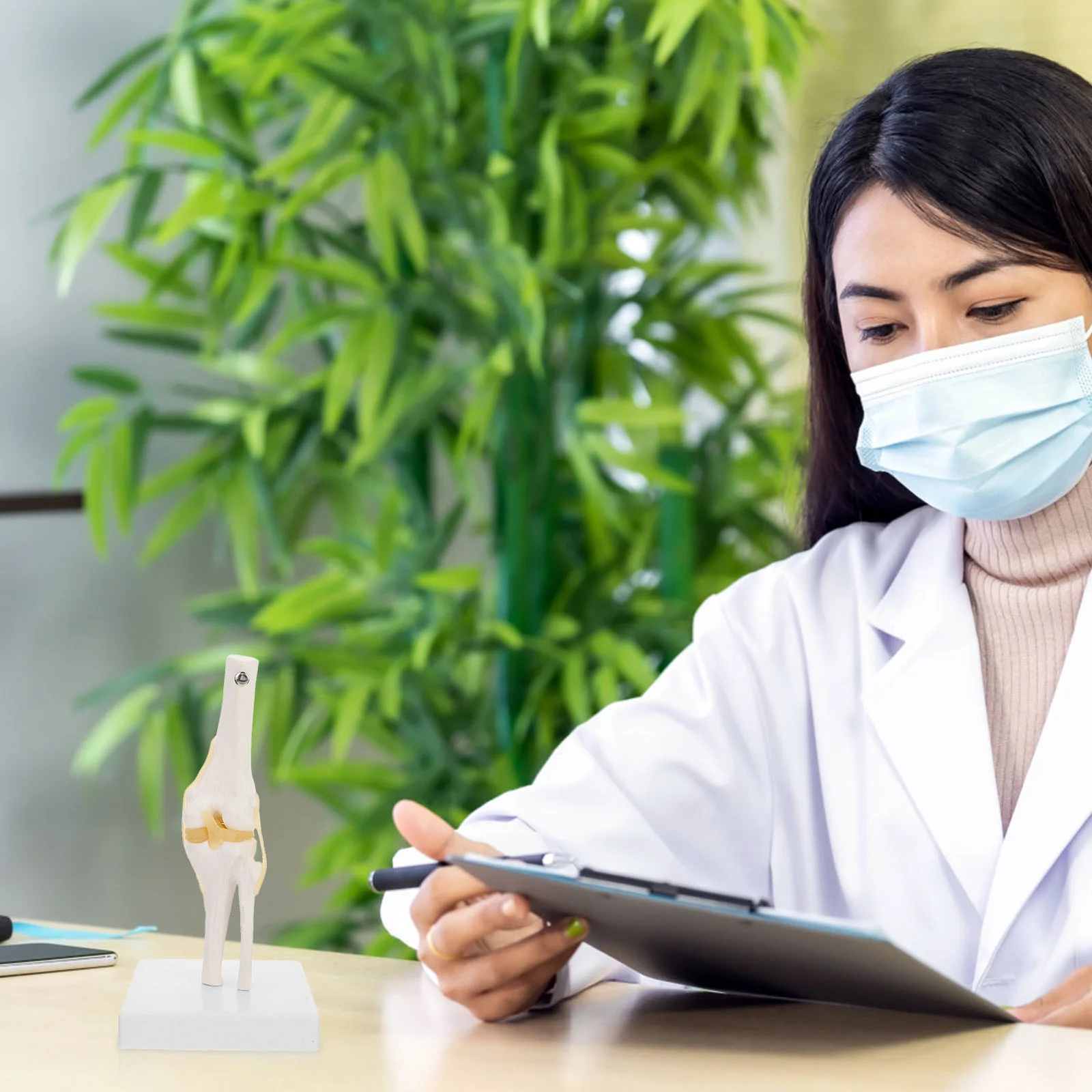 Рисунок 6 - Анатомическое пособие для реального человека