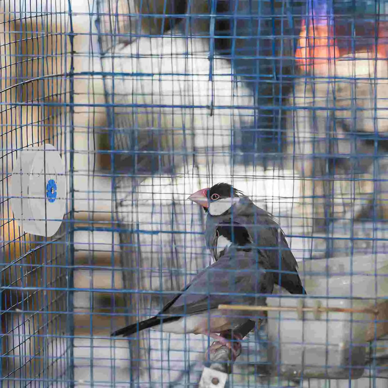 Отсек для еды система пищи птиц жевательные игрушки колесо попугая контейнер