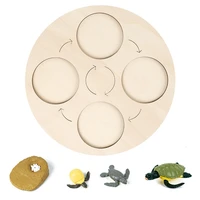 life cycle board tortoise life cycle board set lifestyle stages kids teaching tools animal growth cycle model