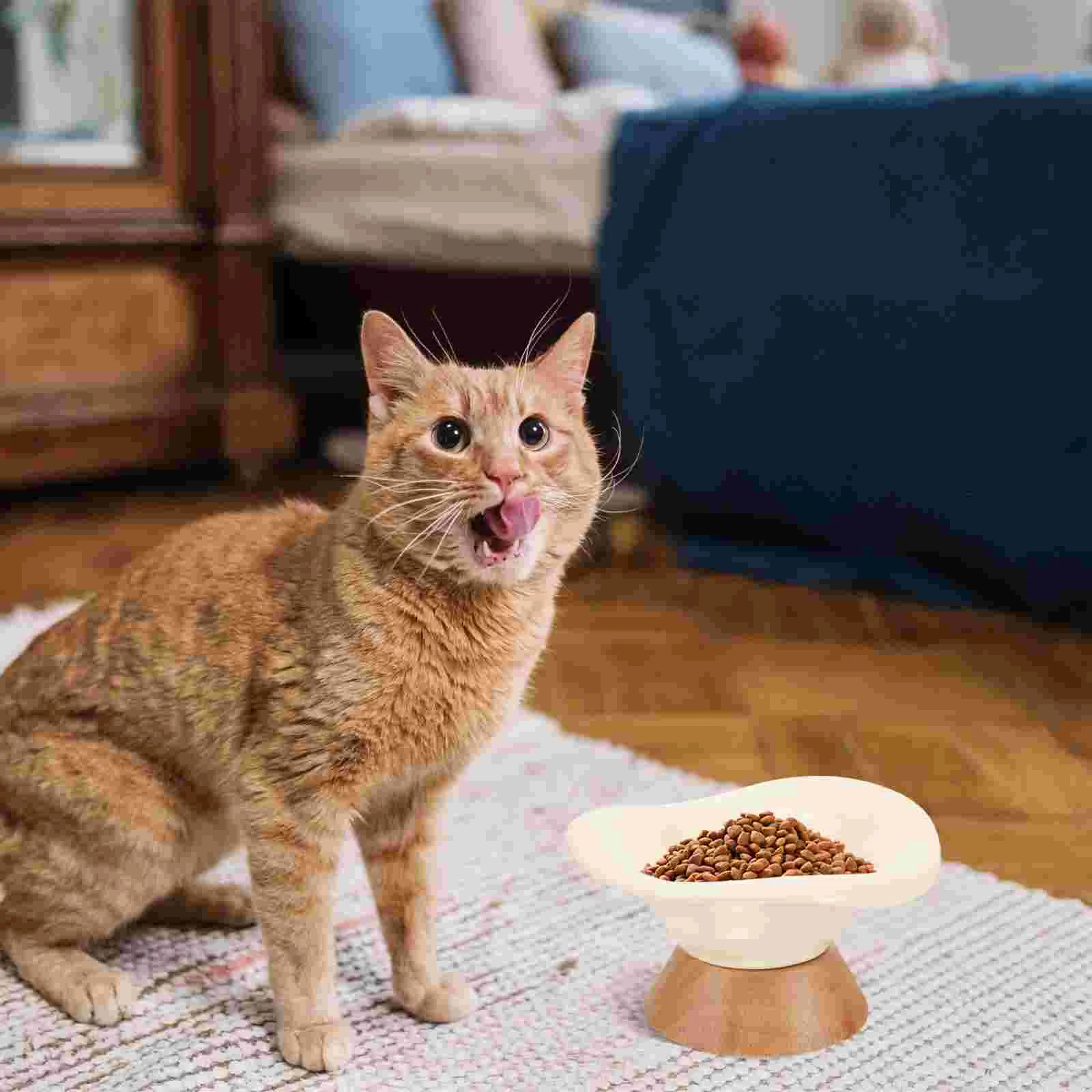 

Footed Pet Food Bowl Household Pet Dog Ceramic Feeder Large-capacity Pet Cat Food Dish