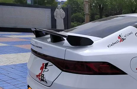 Горячая трехавтомобильная общая паста без перфорации крыло спортивного