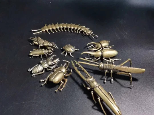 

Lot 10 pcs , Life size 1:1 simulate brass insect beetle figurine vintage Centipede seven star ladybug longicorn Mole cricket Sta