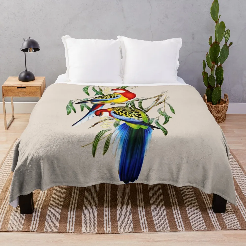 Восточная розелла (Platycertus Eximius) Джона Гуллла пледы декоративные кровати диван