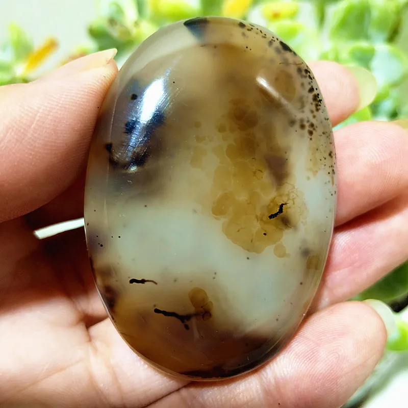 Агат пальмовый камень  EBET