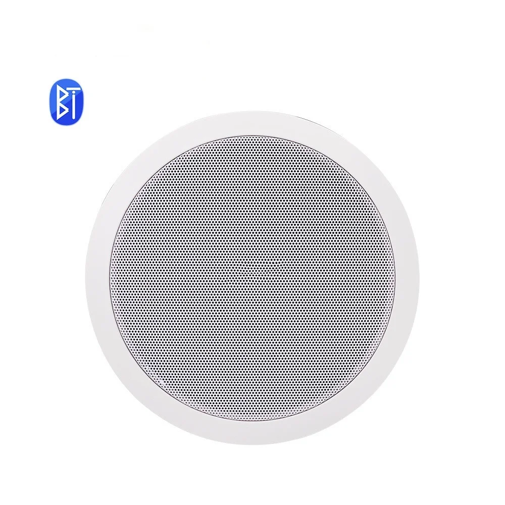 

New Built-in Class-D Amplifier Full Range Bluetooth-compatible Ceiling Speaker Horn For Home Theater Background Music Good
