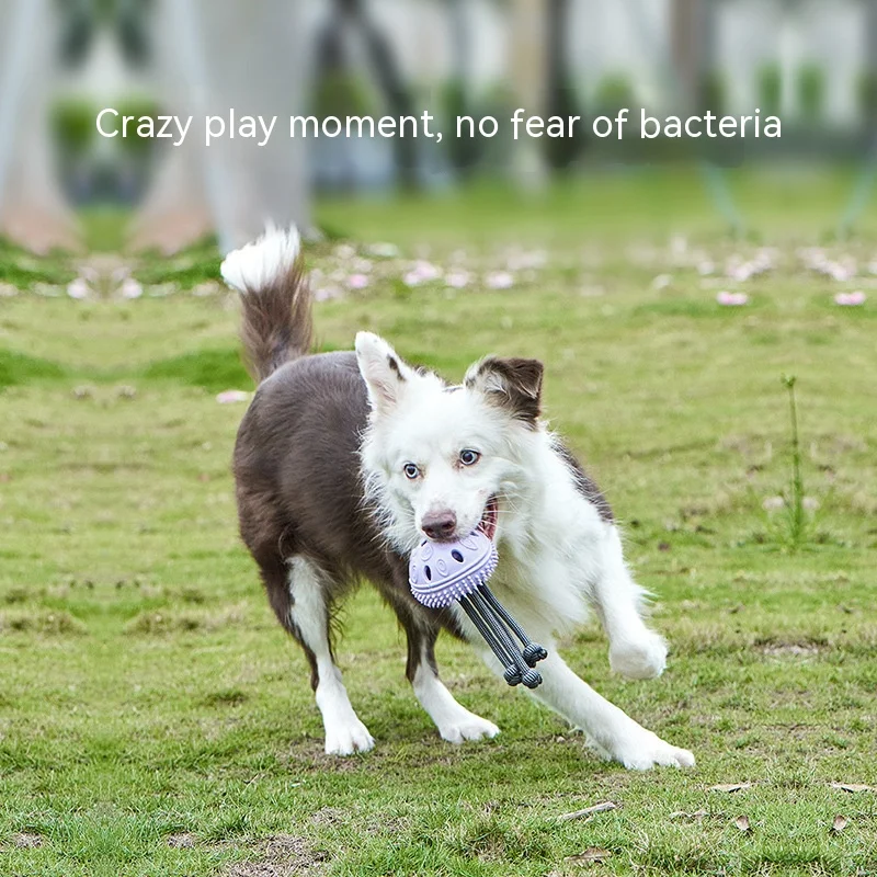 

Dog Toy Pet Knot Toy TPR Teeth Grinding Cleaning Bite Toy Pet Supplies