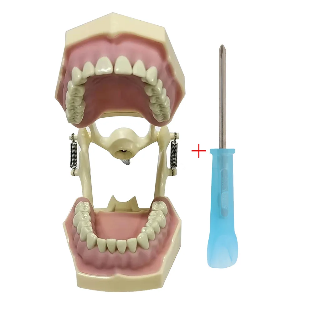 Frasaco AZ-3 32 шт. набор зубов для стоматологической модели модель обучения