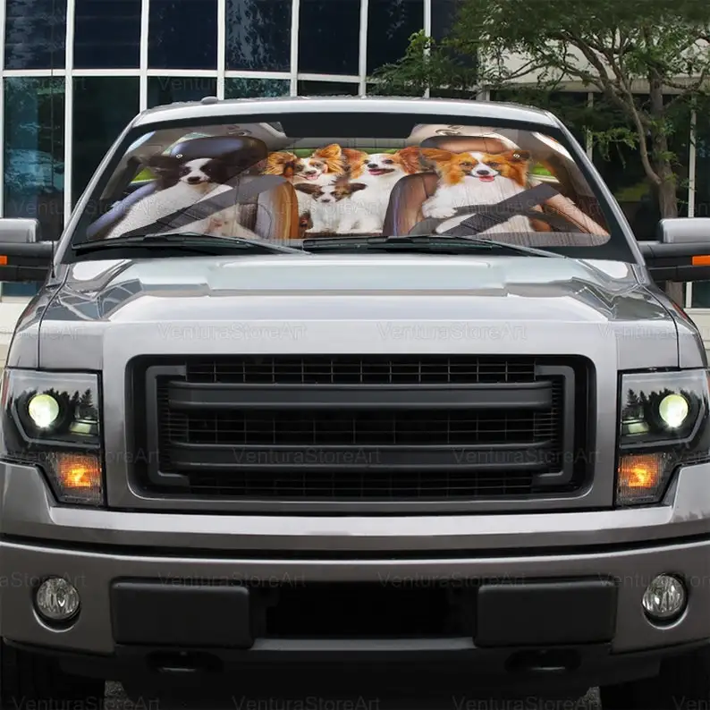 Рисунок 5 - Солнцезащитный козырек для автомобиля