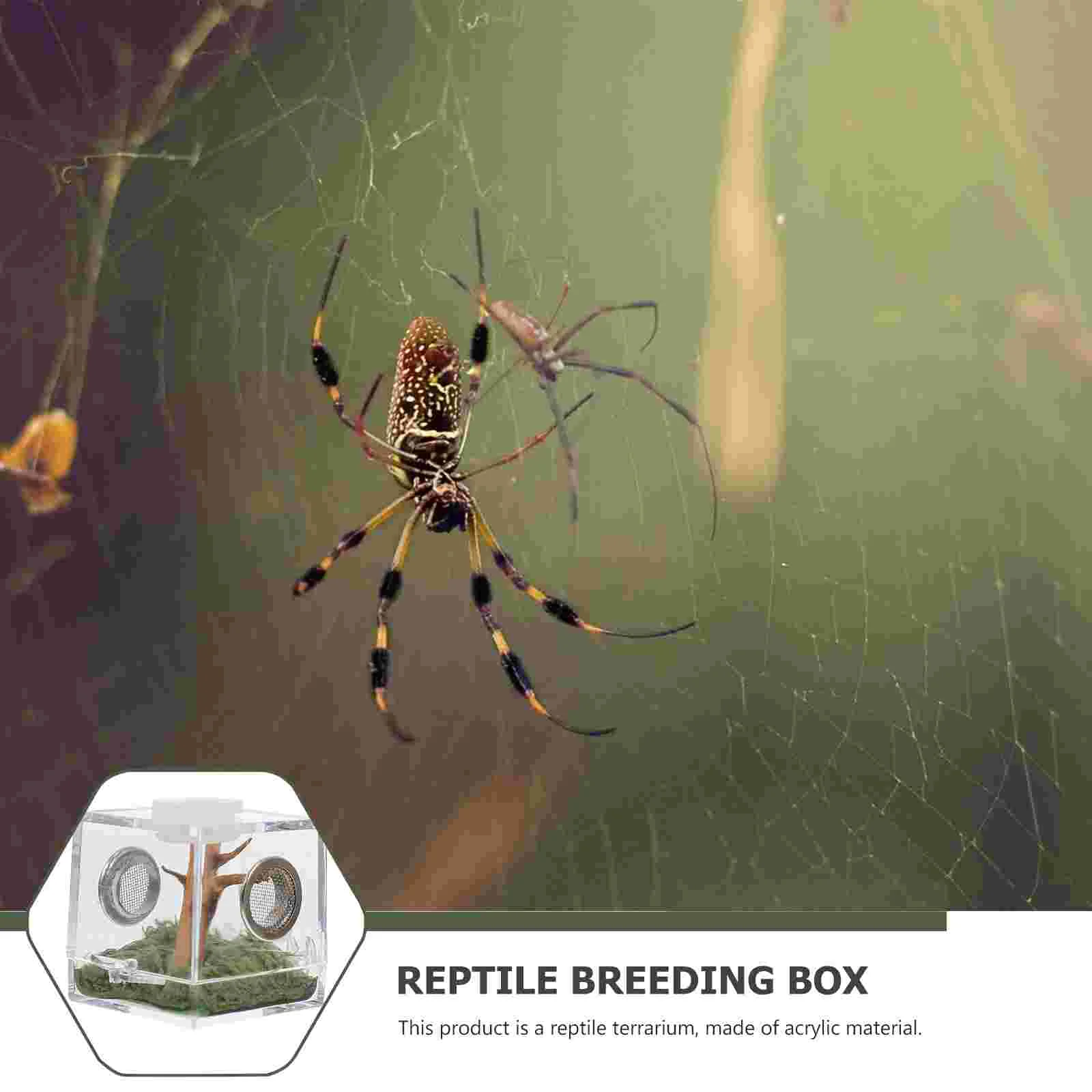 Корпус для рептилий домашний домик дома Террариум черепаха Тарантул улитка паук