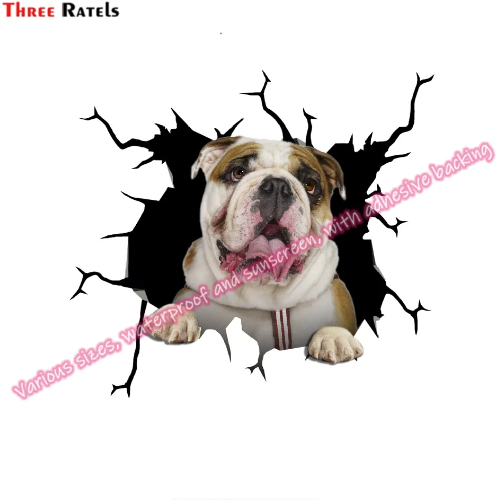 Три Ratels HA-0041 клейкие виниловые аксессуары для BMW F30 Opel Astra H мотоциклетные наклейки