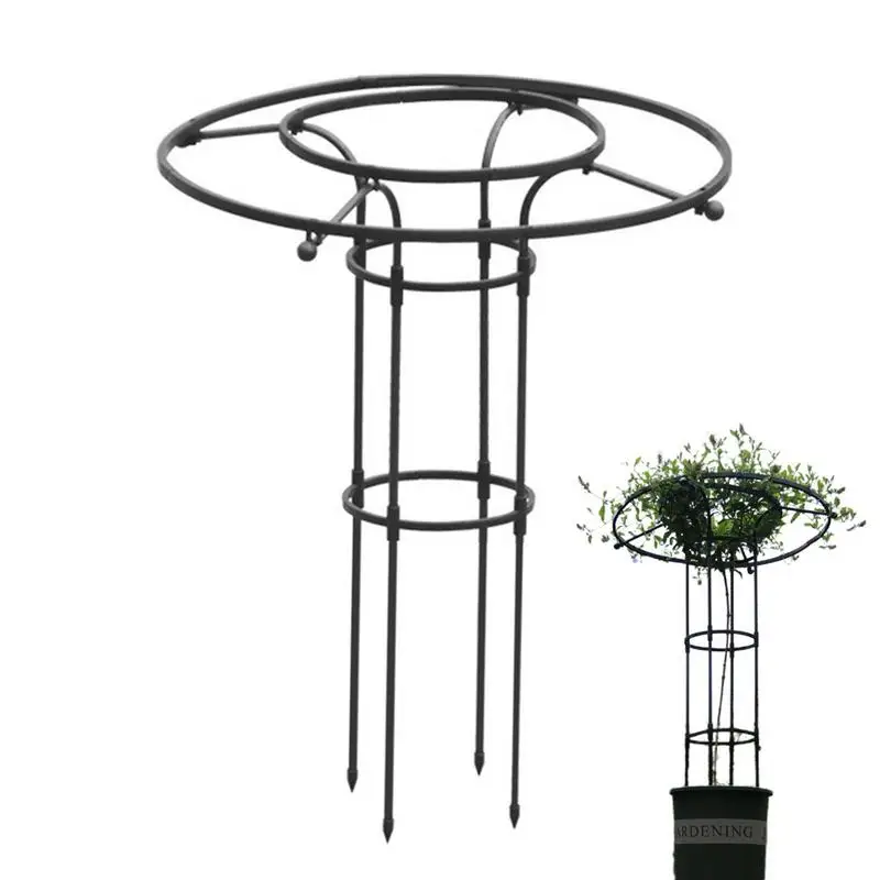 

Vertical Metal Garden Trellis Tomato Flowers Plants Support Cages For Gardening Metallic Plants DIY Flower Vines Pot Stand