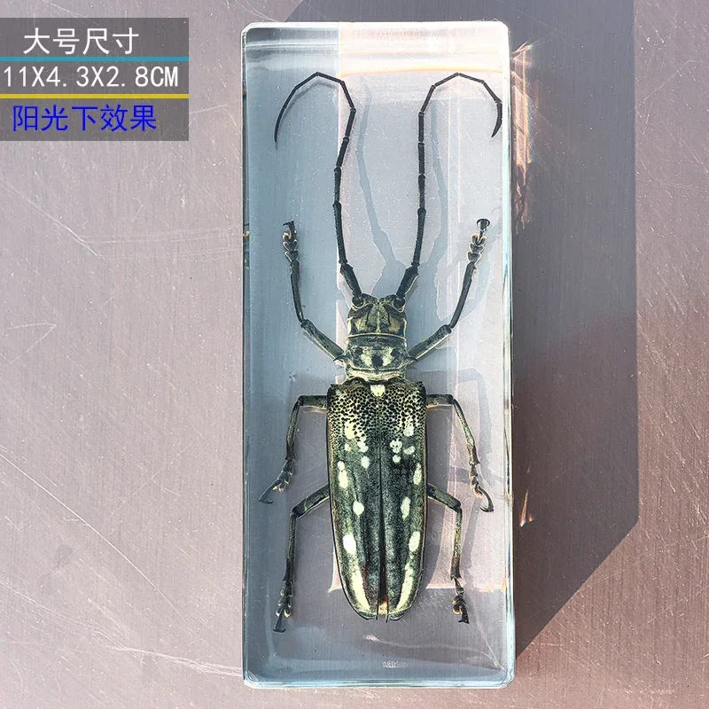 

Статуэтки насекомых из смолы