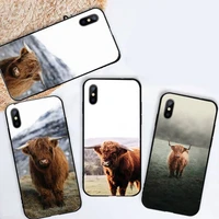 cute highland cows animal phone case for iphone 12 11 13 7 8 6 s plus x xs xr pro max mini