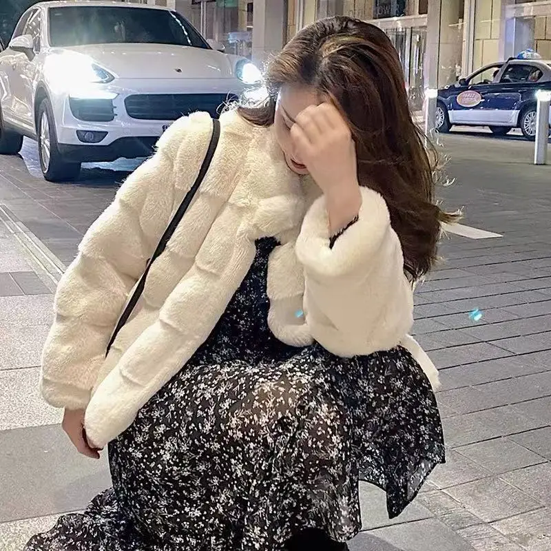 Autumn and winter 2022 Korean version of famous lady style mink fur coat feminine loose short rabbit fur coat trend