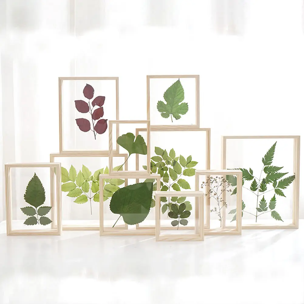 

Frame for Display Wooden Picture Photo Frames Table Display Double Side Pressed Flower Frames Plant Specimen Herbarium Clip