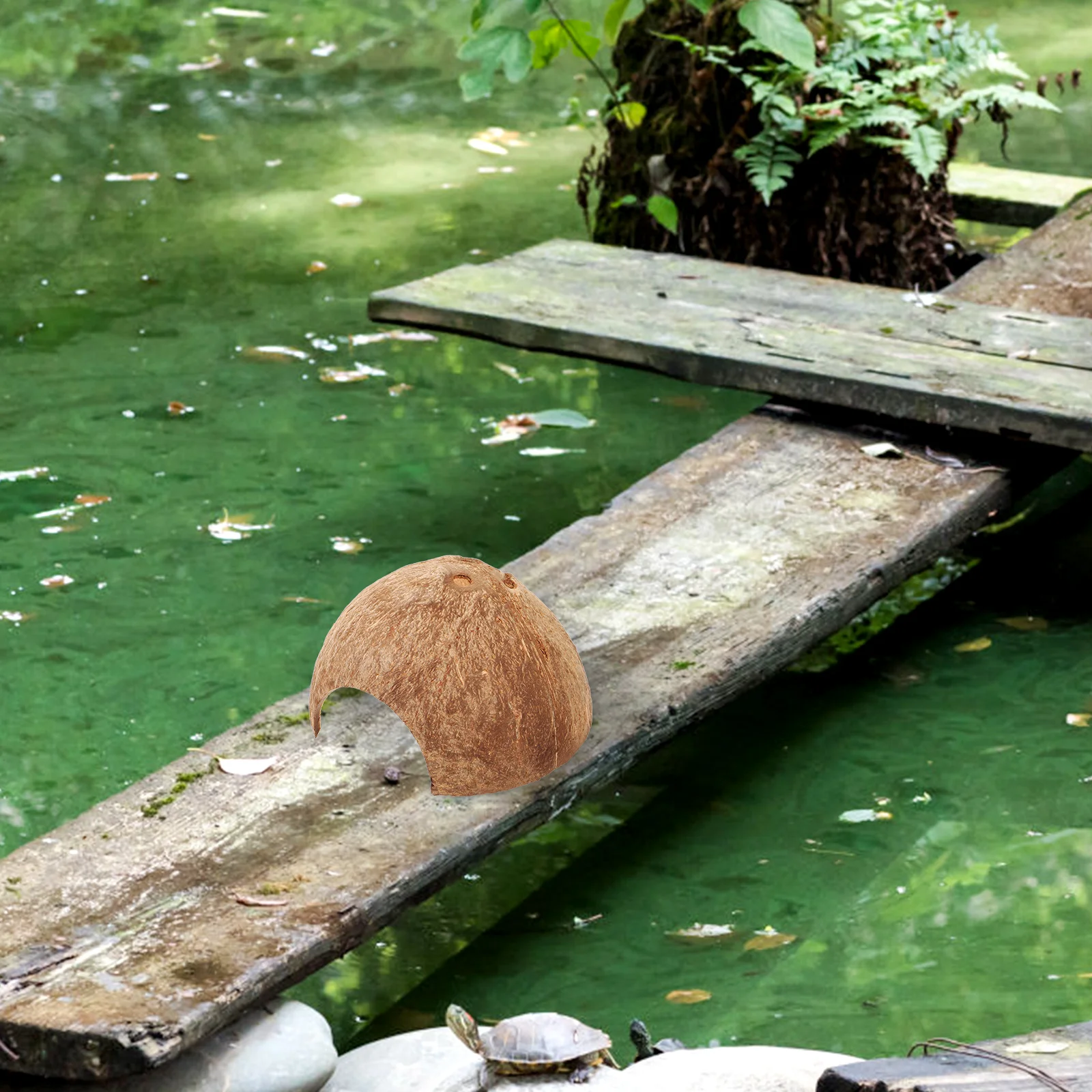 Кокосовое убежище дом леопард геккон увлажнительные кокосовые орехи украшение