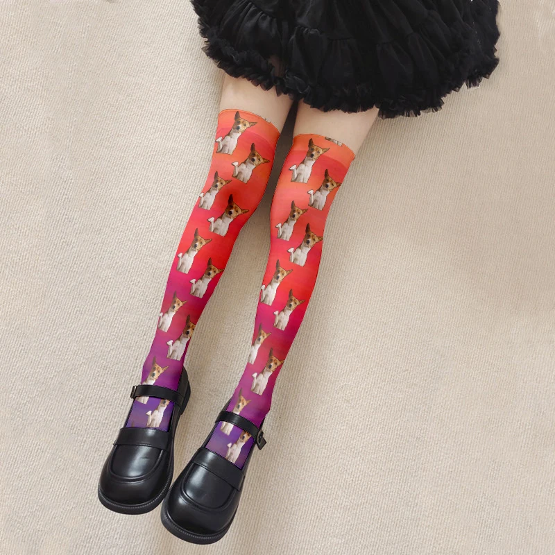 Pink Gradient Rainbow Over-The-Knee Stockings DIY Face Personalized Custom Calf Socks Harajuku Fashion Sexy Women Stockings