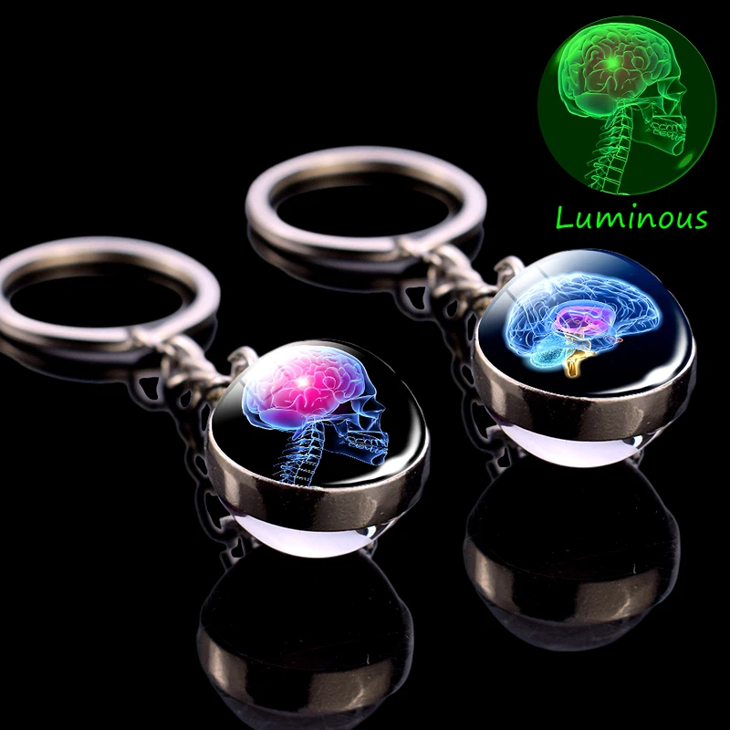 

Glowing Skull Keychain Anatomy Key Chain ECG Heart Brain Luminous Jewelry Stainless Steel Glass Ball Keychain Doctor Gift