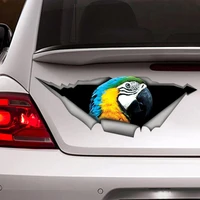 yellow and blue macaw car decal bird car decal parrot sticker