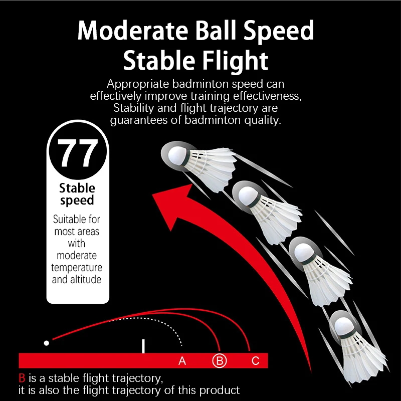 Рисунок 3 - Бадминтон для профессиональных