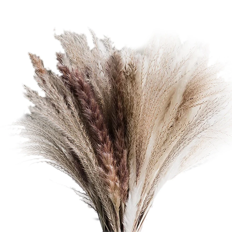 

70 Pcs Pampas Grass Bouquet - Boho Fall Decor - Natural Dried Pampas Grass - Fluffy Pampas Grass Decor
