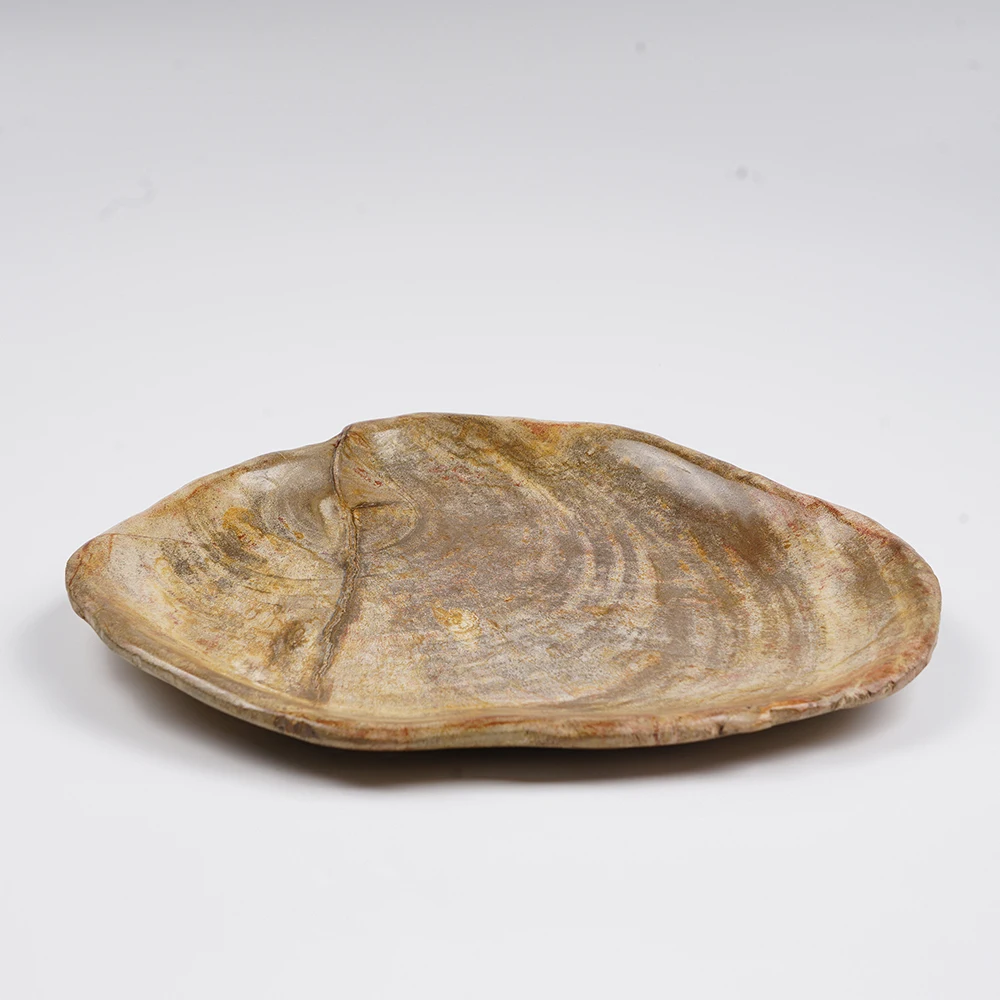 

Luxury Home Decoration Petrified Wood Decorative Tray Infusing Your Space with Ancient Beauty Candy Dish for Hotel Bar