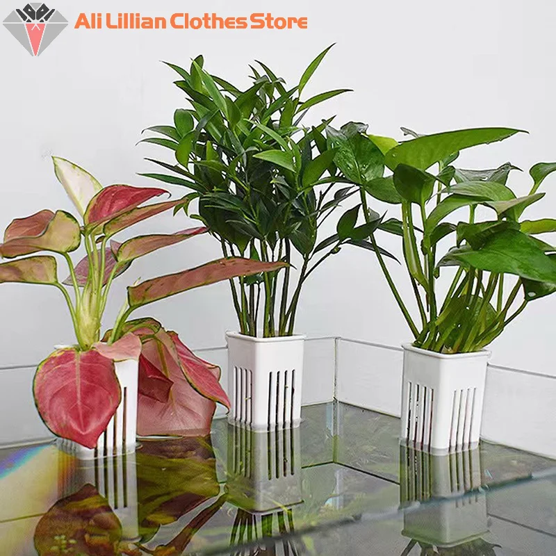 Блюдце Для Водных Растений Подвесной Настенный Горшок Гидропонных Горшков