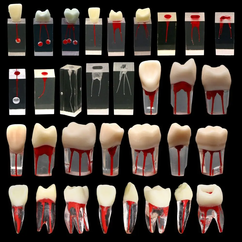10Pcs Dental Root Canal Study Model Endodontic Rotary Files Practice Model Resin