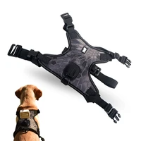 action camera dog harness shooting stabilizer pet vest breathable adjustable camera fixed shoulder strap for dogs outdoor sport