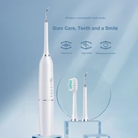 portable ultrasonic dental scaler tartar remover professional tooth whitening cleaning household adult electric toothbrush