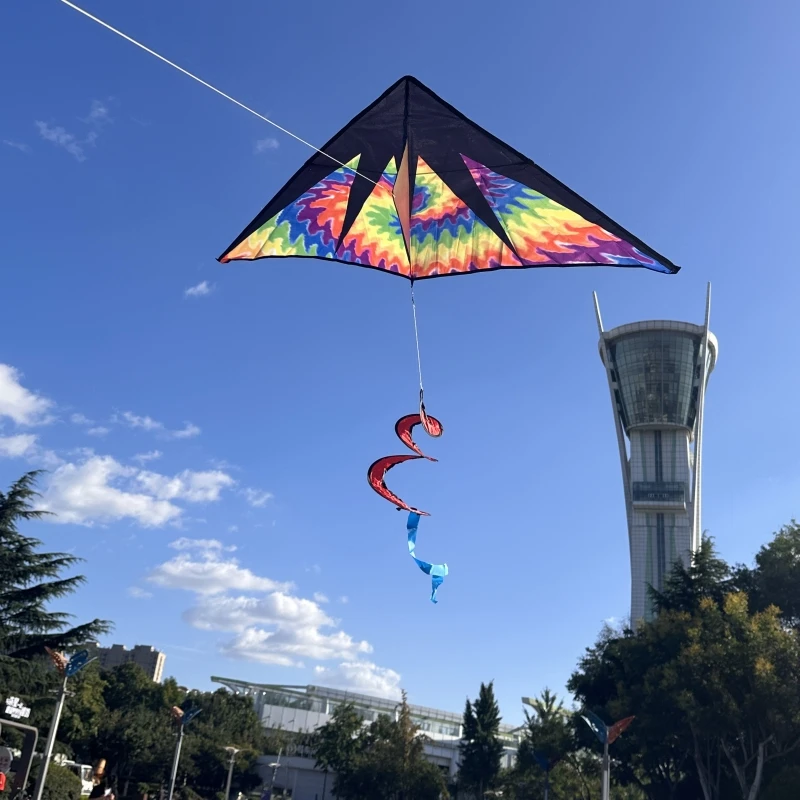Воздушный змей delta профессиональный кайт для детей Летающий Кайт серфинга с