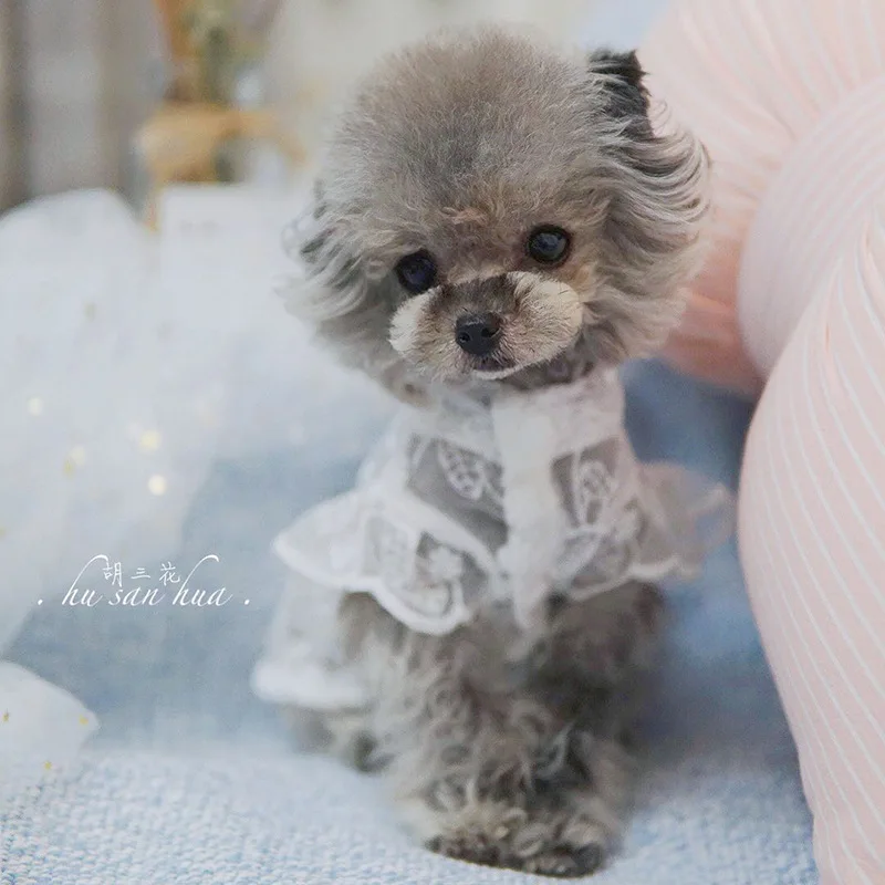 

Dog Dress Dog Dresses Thin Skirt Sun Protection Breathable Environmental Friendly Spring and Summer Cute Cat Dress