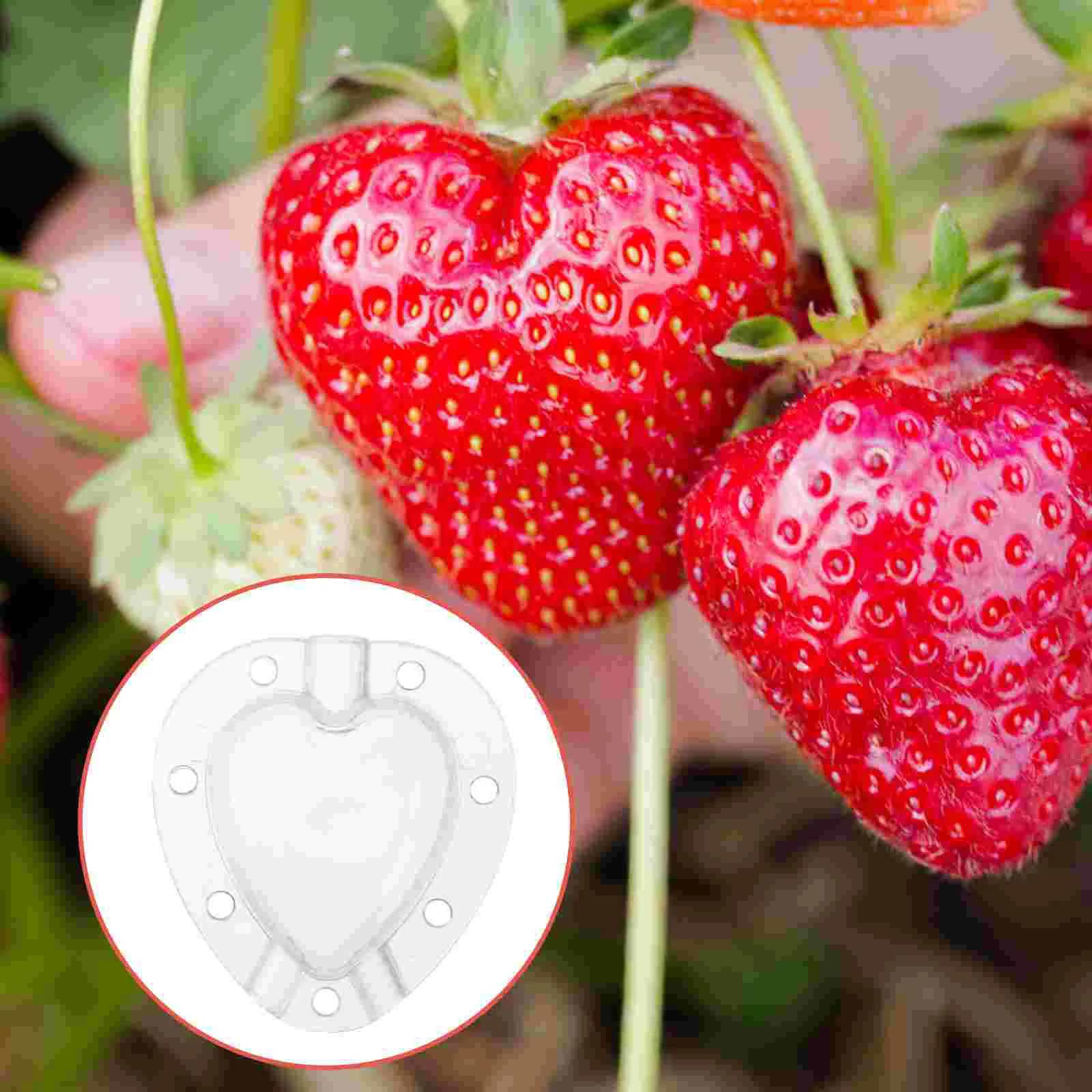 

Molds Shaping Fruit Vegetable Mold Growing Growth Tool Garden Heart Shaper Cucumber Gardening Mould Watermelon Supplies Forming