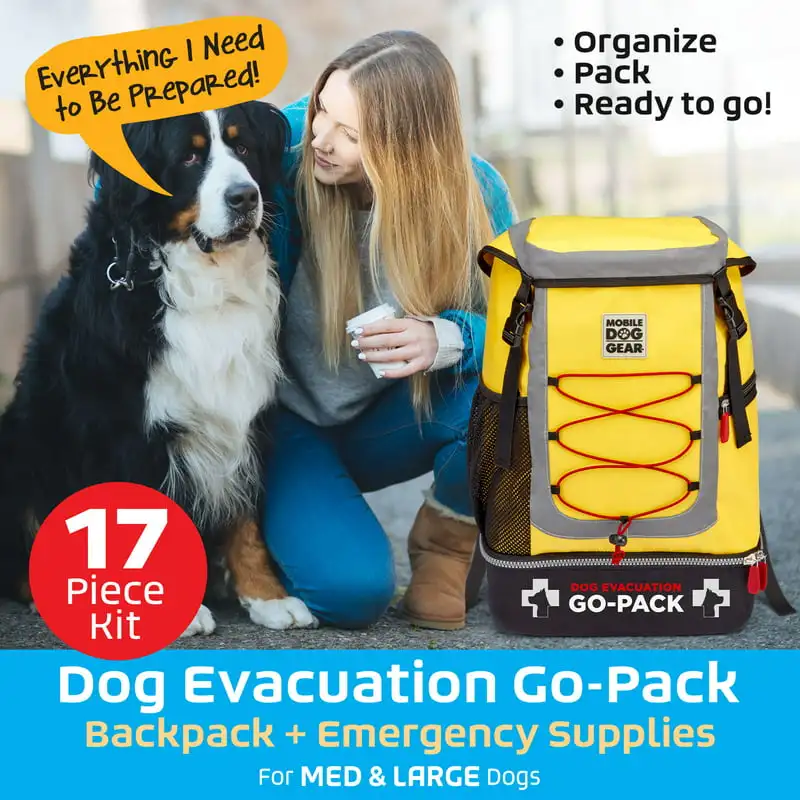 

High-Quality Portable Evacuation Go-Pack with Medical Supplies for Emergency Readiness and Disaster Preparation.