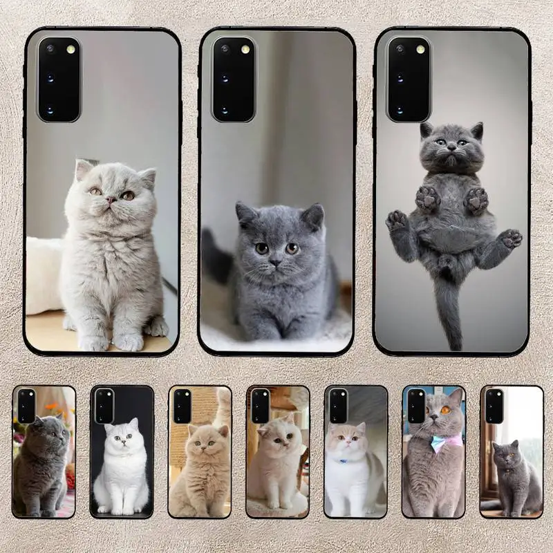

British Shorthair Cat Phone Case For Huawei Honor 10Lite 10i 20 8x 10 Funda 9lite 9xpro Back Coque